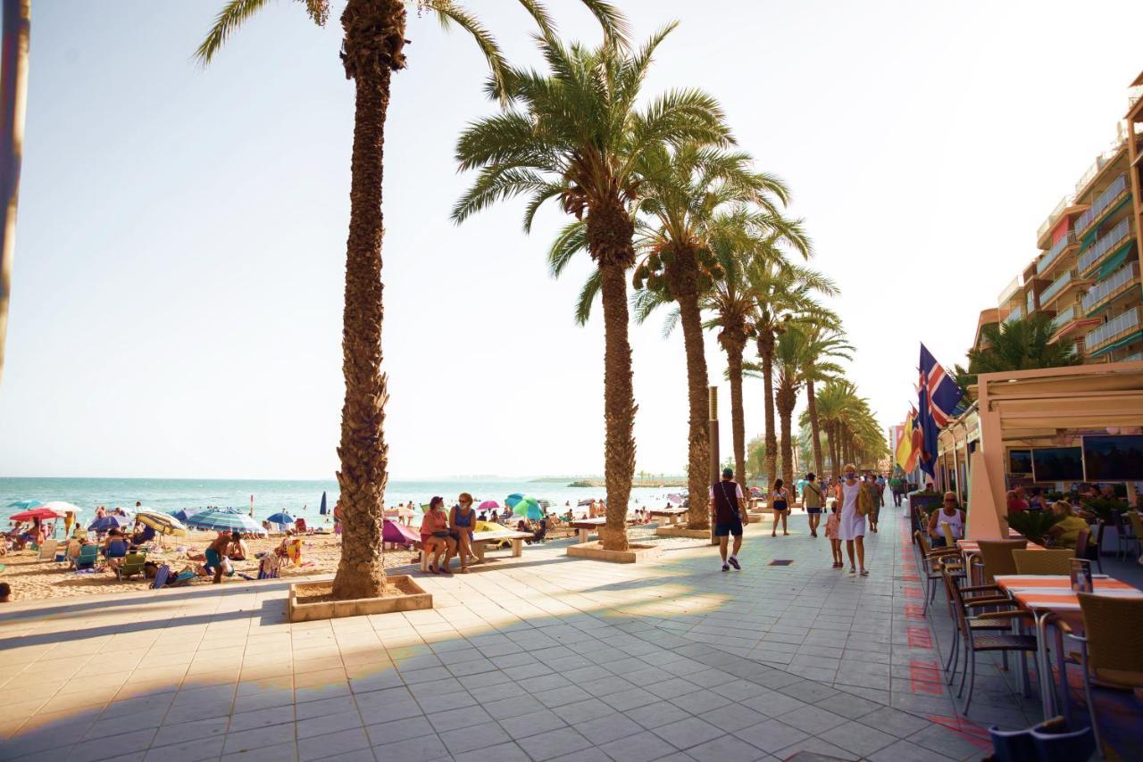 Holiday Studio Jardin Playa Τορεβιέχα Εξωτερικό φωτογραφία